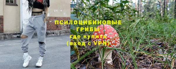 не бодяженный Богданович