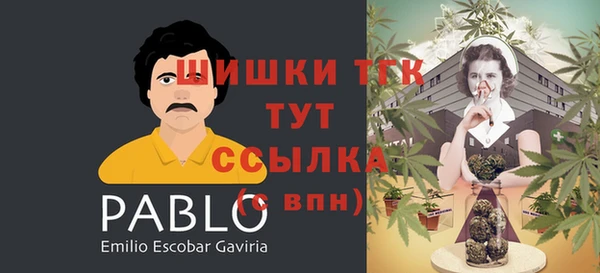 PSILOCYBIN Богородицк