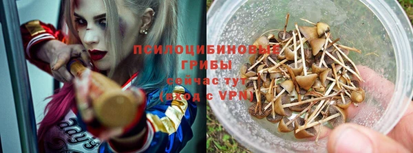не бодяженный Богданович