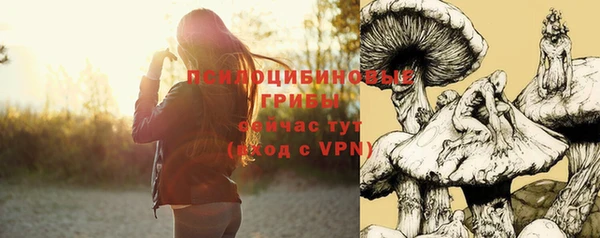 не бодяженный Богданович