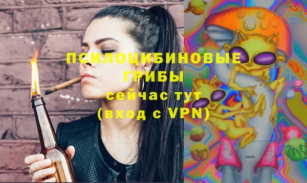 не бодяженный Богданович