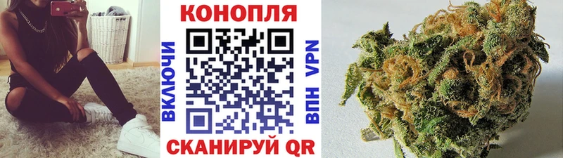 Каннабис план  что такое   Колпашево 